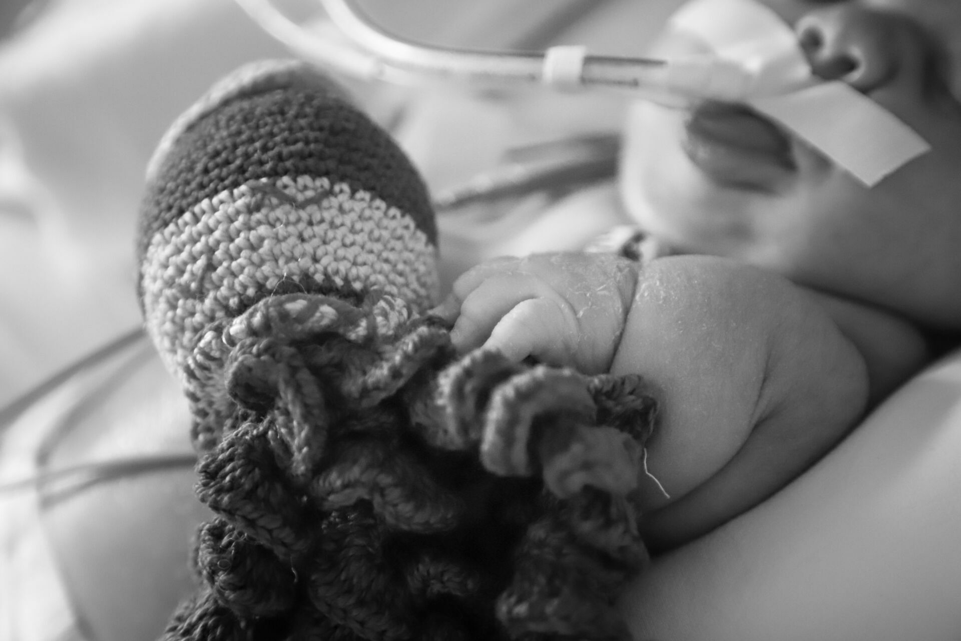 Foto Mães de Prematuros - Imagem 0