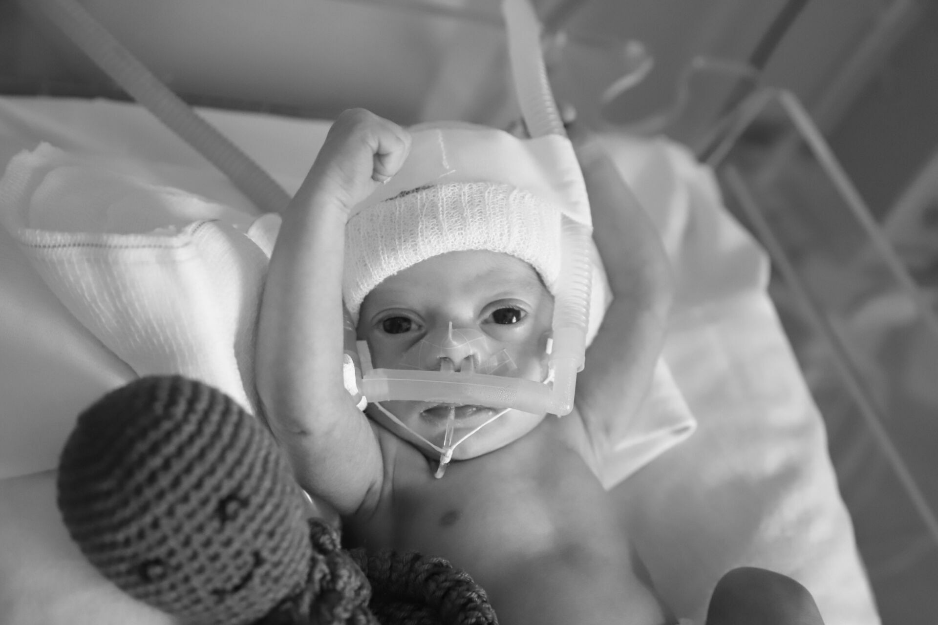 Foto Mães de Prematuros - Imagem 1