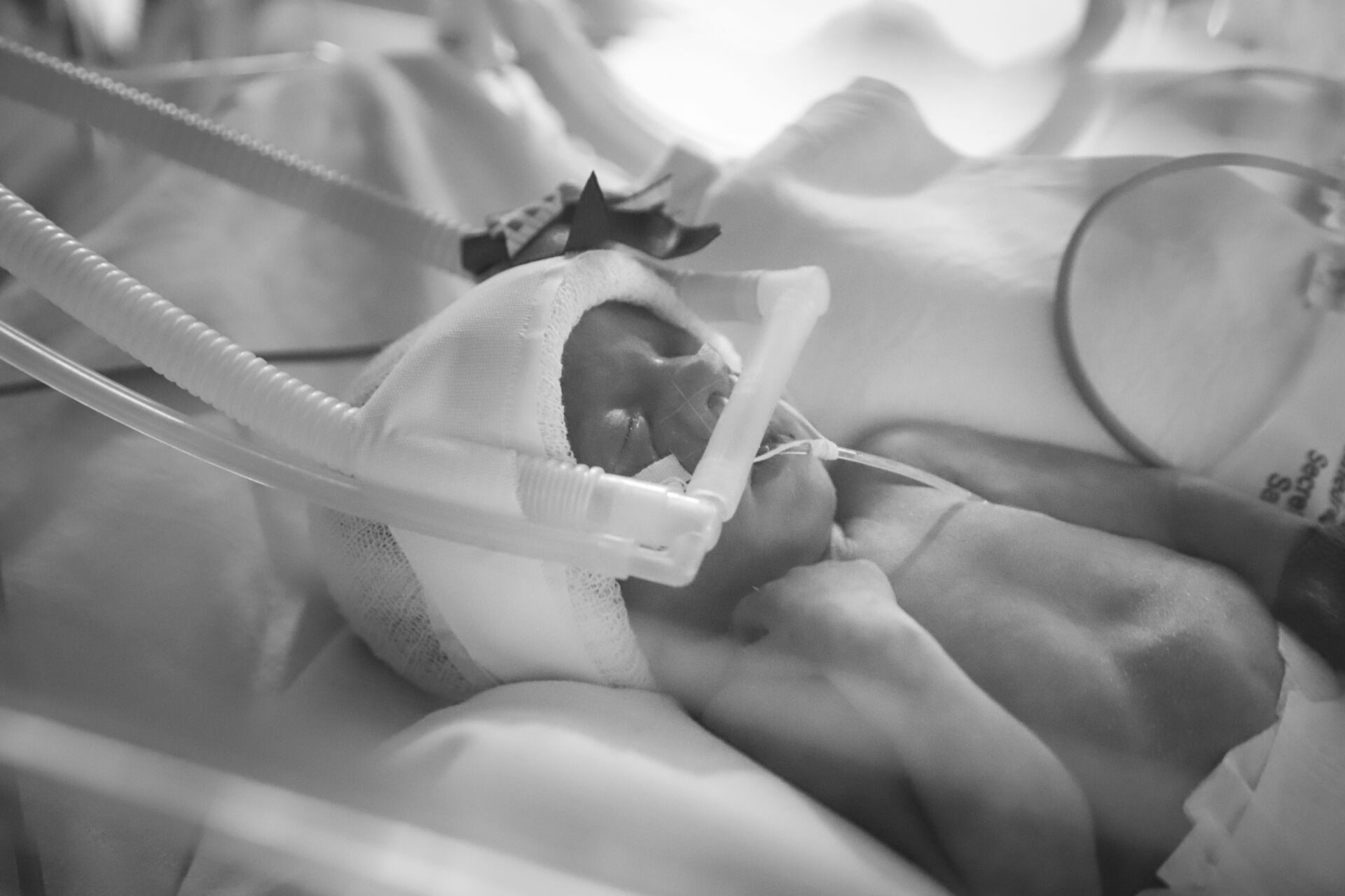 Foto Mães de Prematuros - Imagem 2