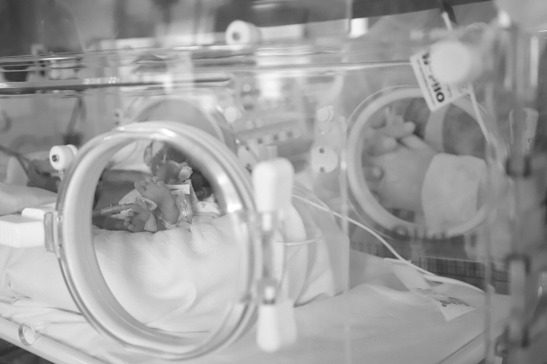 Foto Mães de Prematuros - Imagem 8